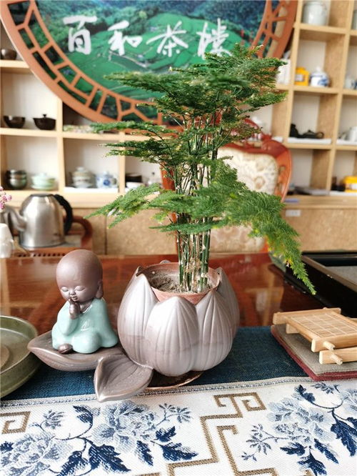 2021新媒體頂級(jí)茶館揭曉 山東煙臺(tái)抖音人氣網(wǎng)紅茶館服務(wù)解析