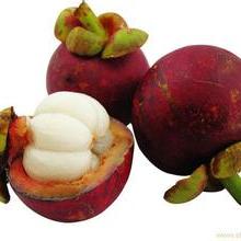 新鮮蔬菜 營養、選擇與保鮮之道