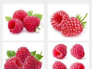 多種水果高清大圖與設(shè)計素材集合，附飲品美食大全與新鮮蔬菜資源